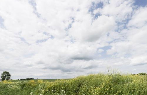 Ashtree Cottage - Foto 19