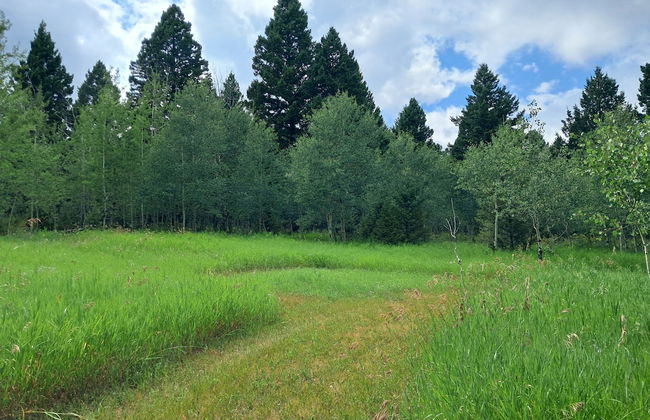 Grassy Mountain Ranch - Foto 17