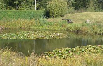 Whittlewood Shepherd's Hut in Silverstone, Cosy, Rural, Views - Photo 14