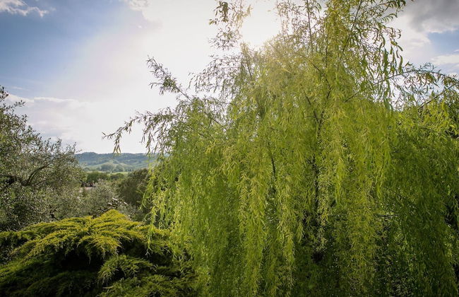 Charming Retreat in Armaiolo - Foto 32