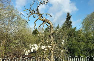 Unieke landelijke woning met zwembad - Foto 14