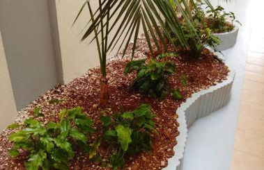 Vamos Tenerife - Playa La Arena - Puerto De Santiago - Foto 23