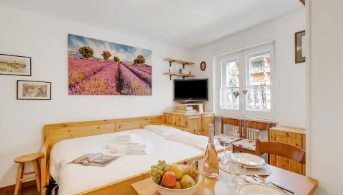 Hermitage Studio - close to ski pistes - Happy Rentals - Foto 5