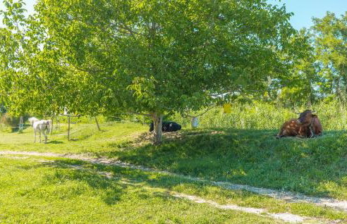 3 Bedroom Nice Home In Plovanija - Foto 44