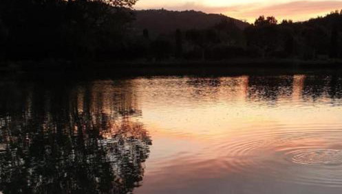 Les Iris le Lac de la Vallée - Foto 2