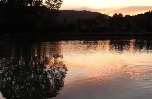 Les Iris le Lac de la Vallée - Foto 2