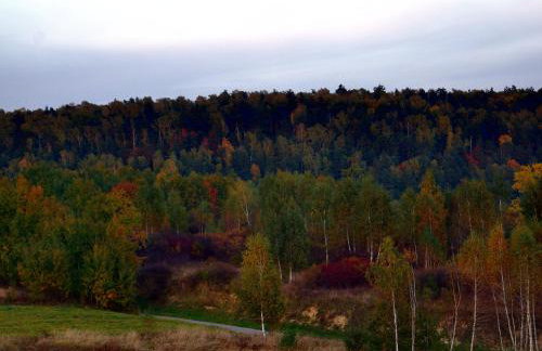 Baba Jagna - Foto 27