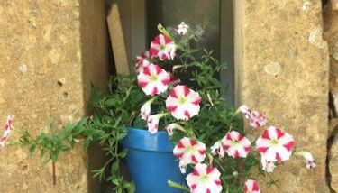 CHARMANT STUDIO DANS MAS - Foto 2