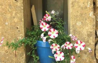 CHARMANT STUDIO DANS MAS - Foto 2