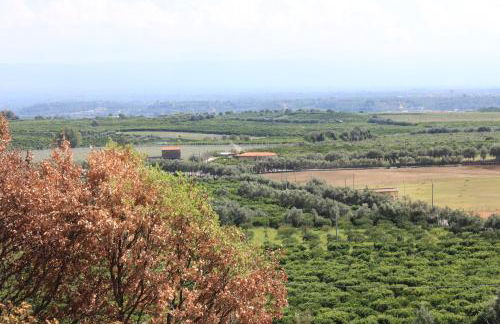 Agriturismo Le terre di zoe' - Foto 91