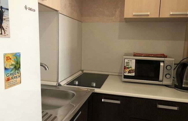 Apartment on Lysaya Gora 36-2a Green Area 4 - Photo 10