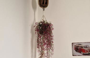 Er paranco - Foto 11