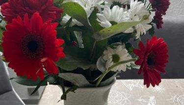 Haus Ursula - Foto 2