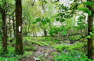 The Studio with Terrace and EV point - Photo 32