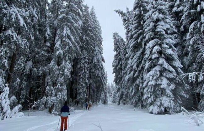 Apartment Chalet Beatrice Share - Foto 10