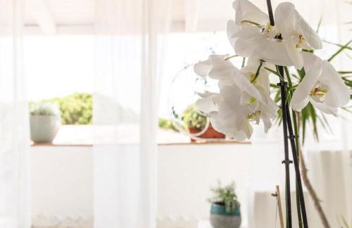 Steps from the Beach with views and big patio! - Photo 41