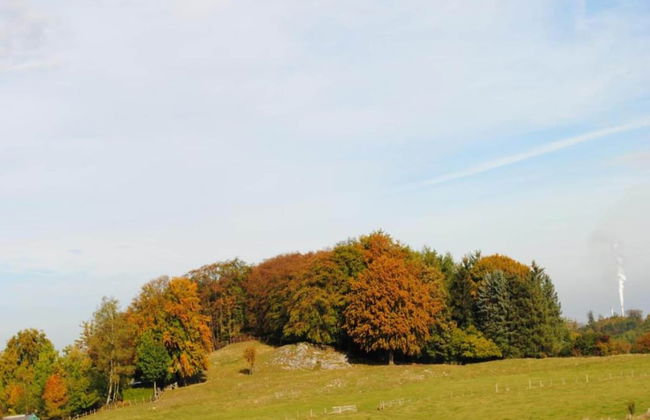 Tasteful Ground Floor Apartment with Terrace & Garden near Brilon - Foto 32