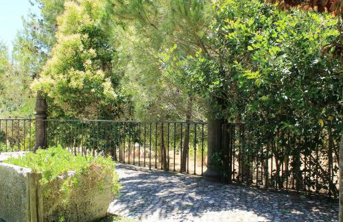 Quinta do Casal de Santo António - Foto 30