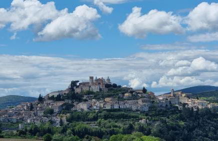 Le Contrade - Foto 60