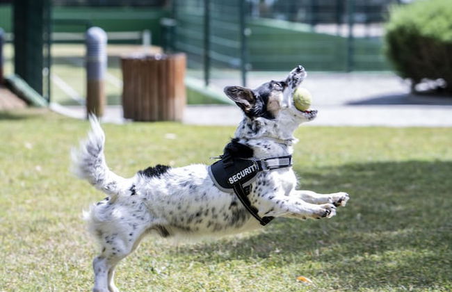 MS Aparthotel - Foto 53