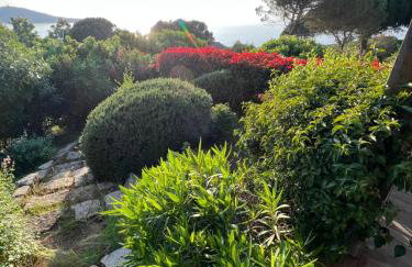 Costa di fiori - Photo 8