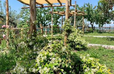 Agriturismo La Terrazza su Farfa - Foto 59