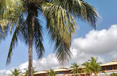 Apartamento no Condomínio Vila das Águas - Photo 16