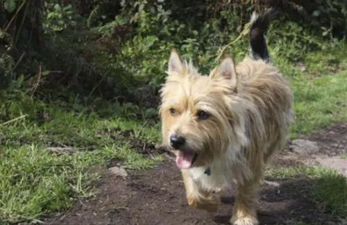 Holiday Home Idyllisches Landhaus Rosemary by Interhome - Photo 20