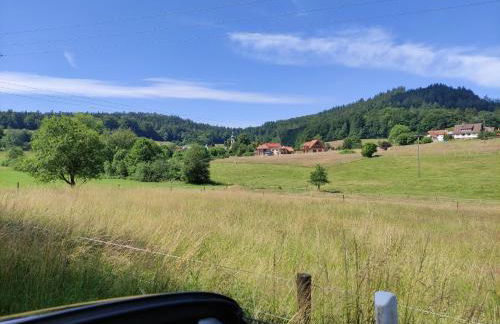 FeWo ALBTALECK - Wohnen im Kurort Waldbronn - Foto 29