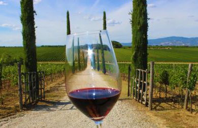 Agriturismo La Piana - Foto 143