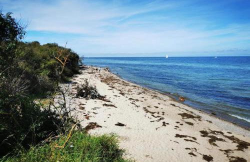 Appartements Post Hiddensee in Vitte - Foto 42