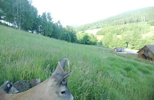 Chata Lisa - Foto 30