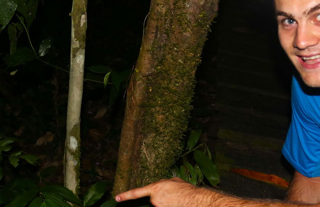 Amazon Jungle Night Hike - Photo 1
