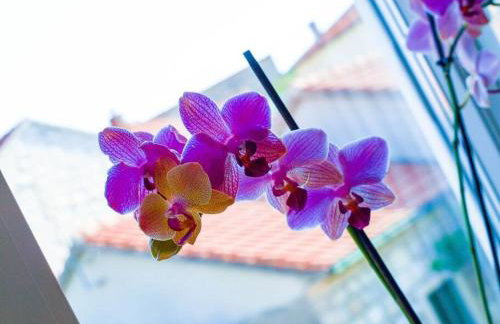 Luxury two-bedroom apartment by the sea U KaLu - Photo 21