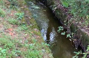 Peddlers Carriage house - Foto 16