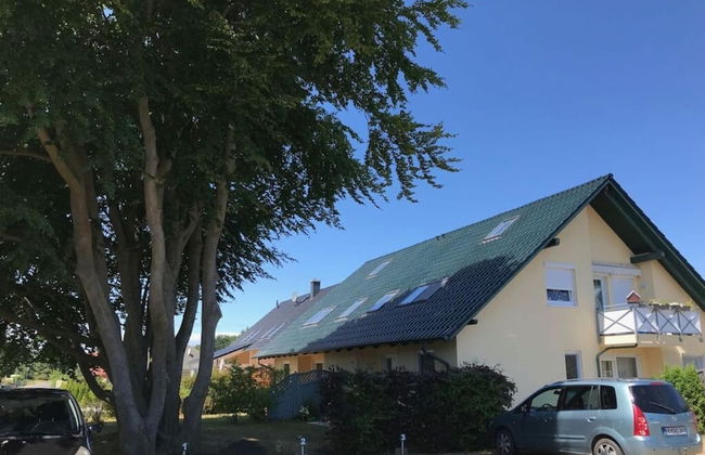 Wood in Zempin/usedom - Foto 24