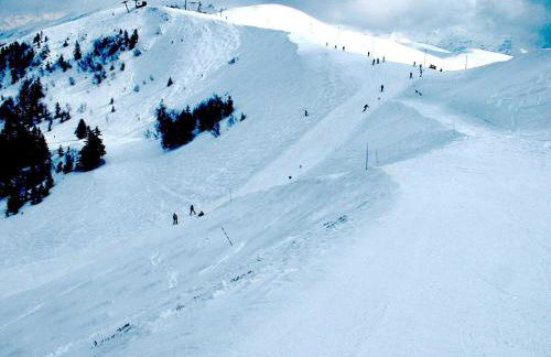 Au cabanous - Foto 10