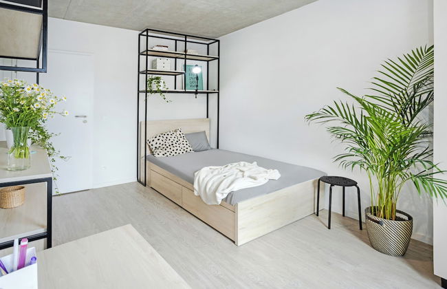 MILESTONE Wrocław Ołbin Student Living - Photo 16