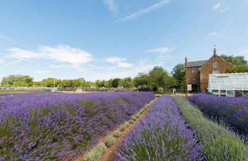 3 Bed in Sedgeford oc-s32725 - Foto 22