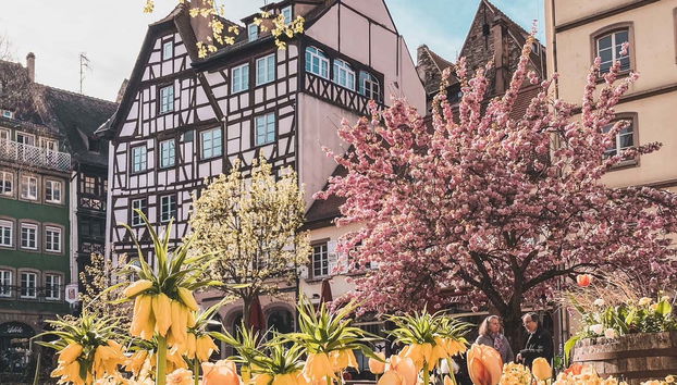 Tour in Strasbourg - Foto 2