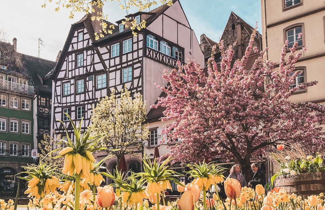 Visita guidata di Strasburgo - Foto 1