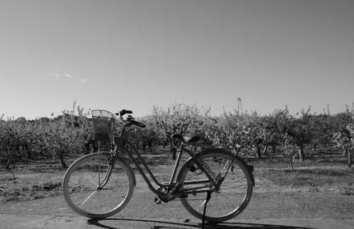 Casa do Alfaiate - Foto 49