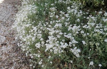 Entre Ciel et Terre - Foto 23