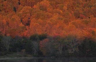 Waterfront Cabin 20 Mins to National Park & Massanutten! - Foto 26