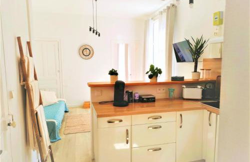 "entre Troyes murs", 4 appartements avec parking, Troyes - Foto 22