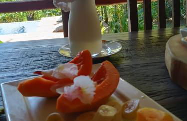 Pousada Boutique Sitio das Jaqueiras-Vista Rio Mar - Foto 8