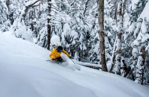 Mountain Retreat - Photo 25