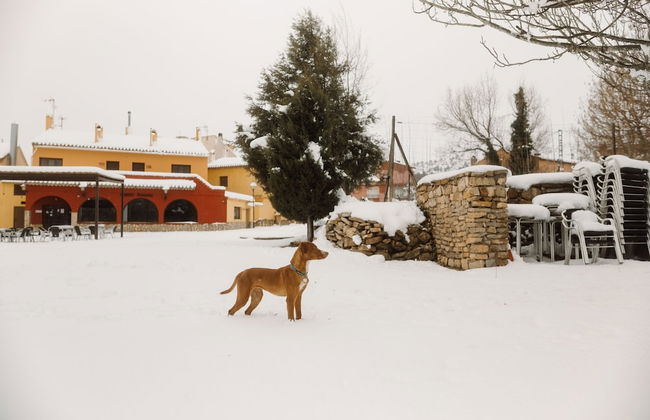 Caserío Inazares - Foto 27