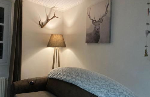 la grange T2 Centre Ville Jardin WIFI - Foto 7