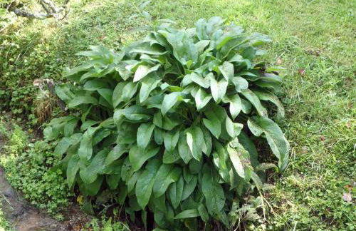 Nantahala Spiritual Retreat - Remote and Peaceful! - Foto 56